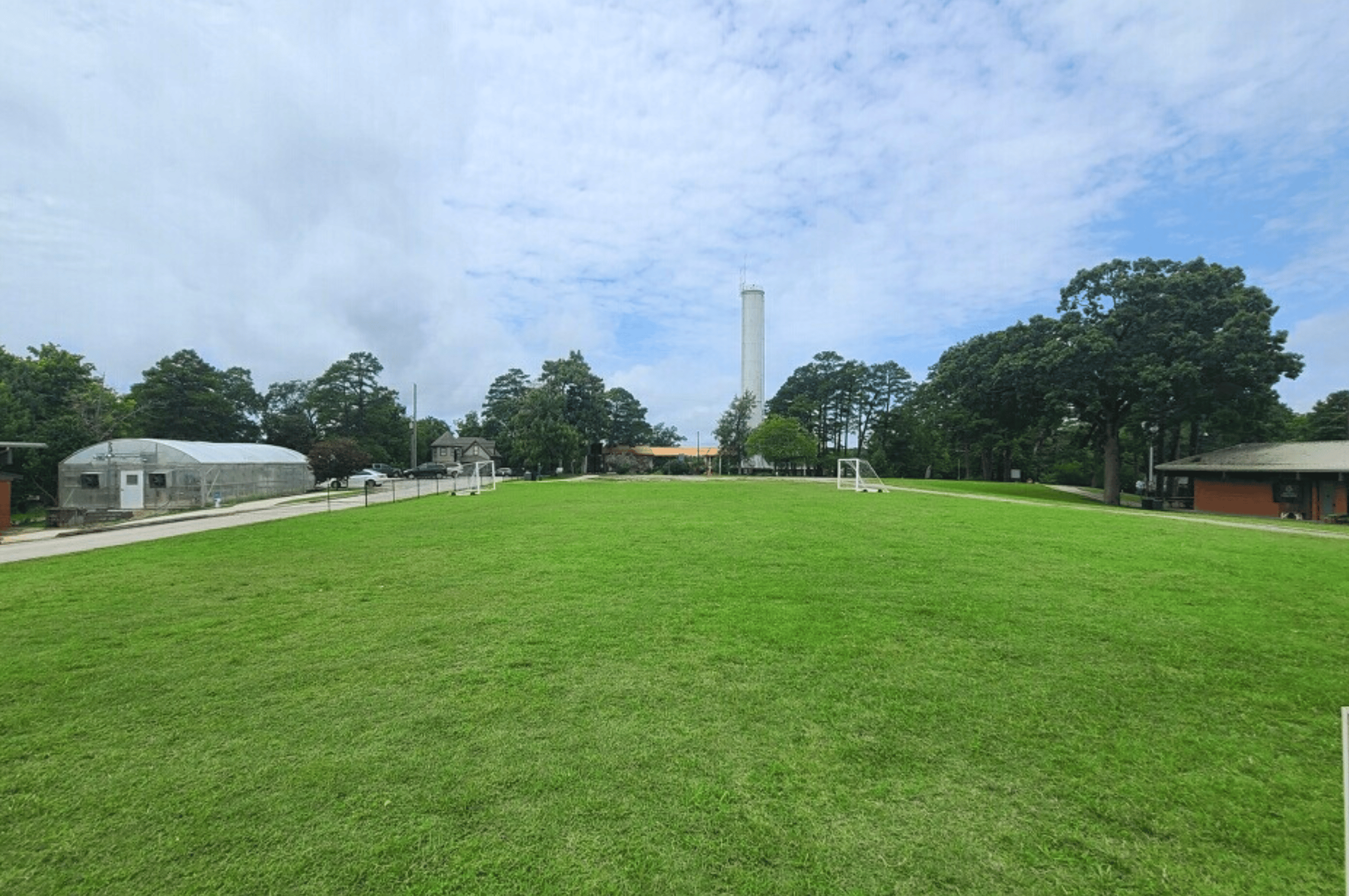 Field of green on a pretty day