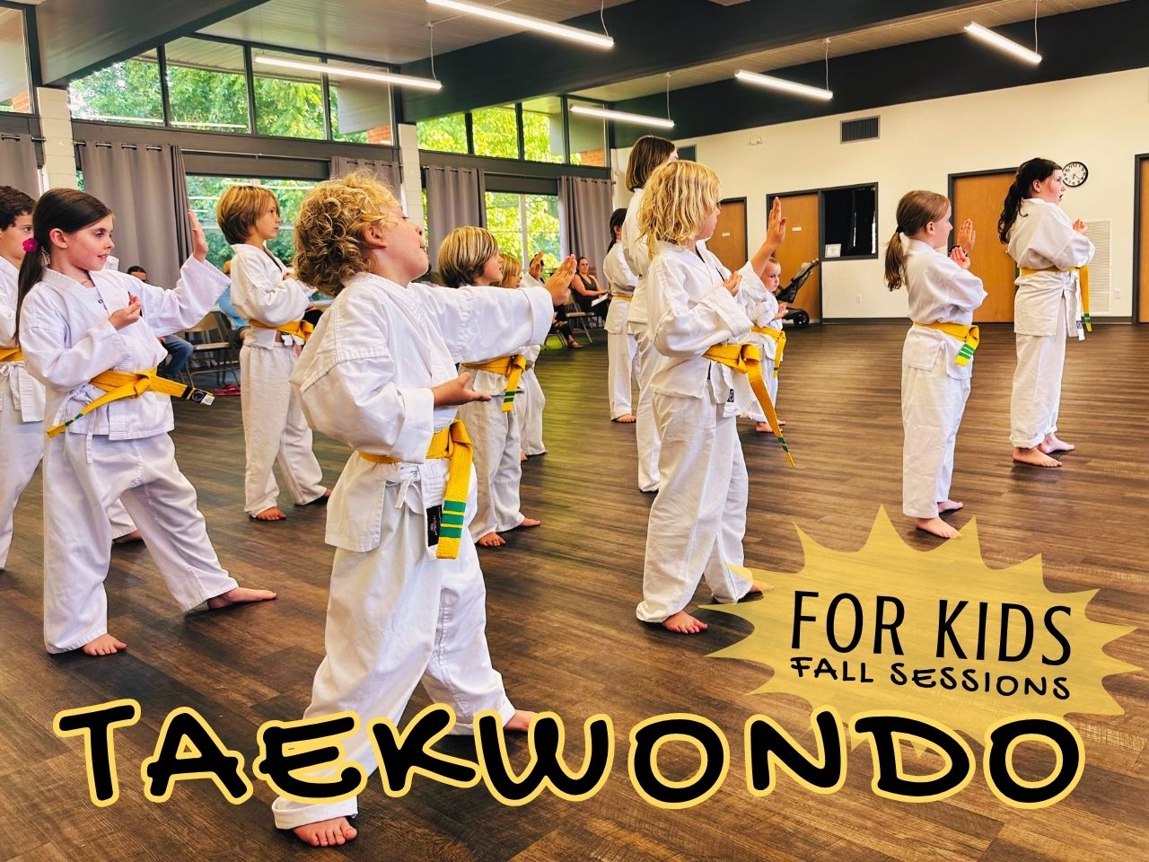 Photo of children ages 5-12 in Taekwondo formations during their Belt Award Ceremony