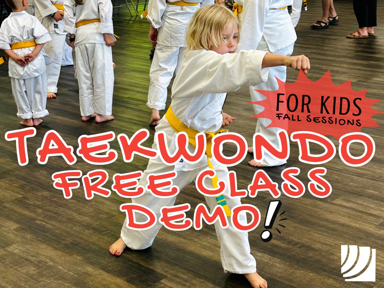 Photo of children ages 5-12 in Taekwondo formations during their Belt Award Ceremony